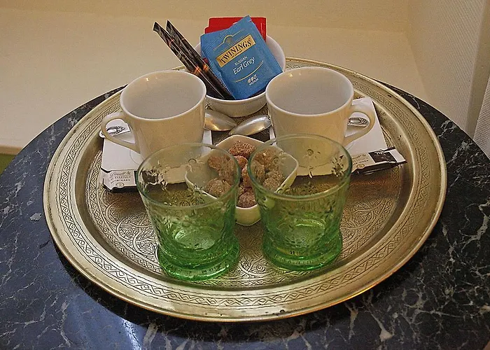 马蒂尔德尚布尔酒店 3* 昂热